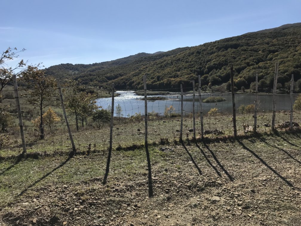 esescursioni in fuoristrada-trekking fotografici, nebrodi lago biviere