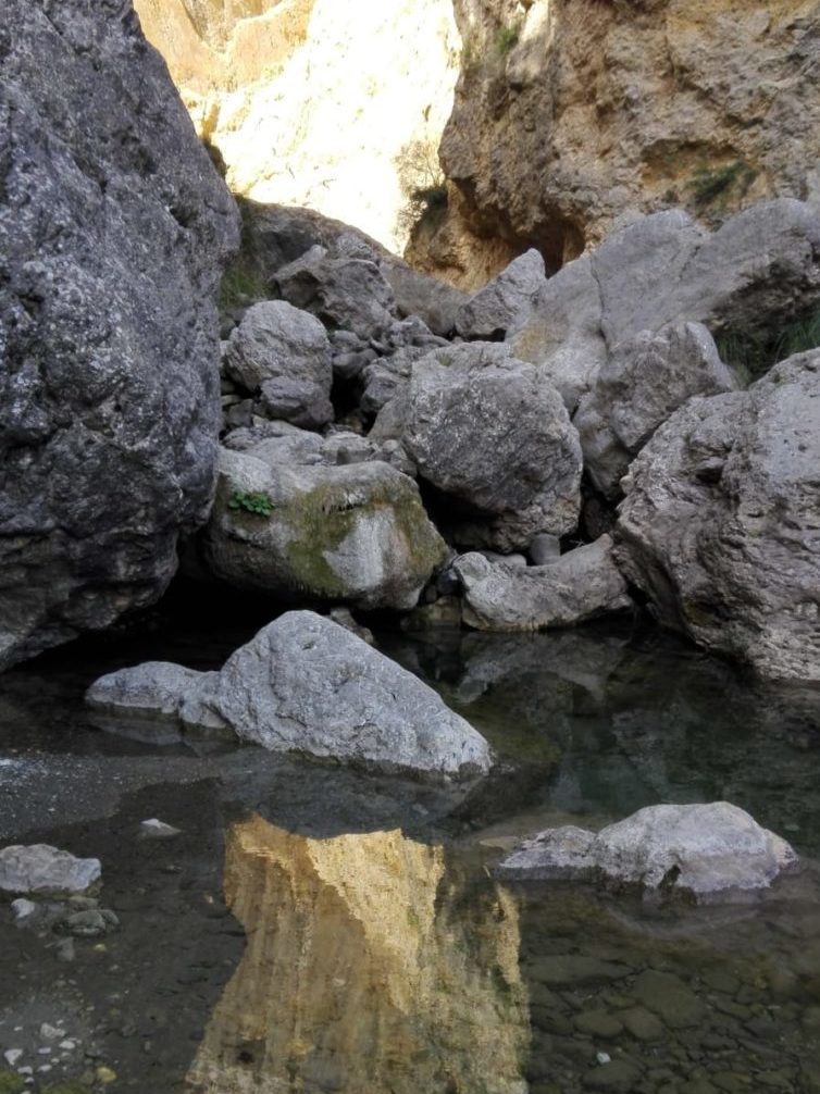 esescursioni in fuoristrada-trekking fotografici, nebrodi cascata del catafurco