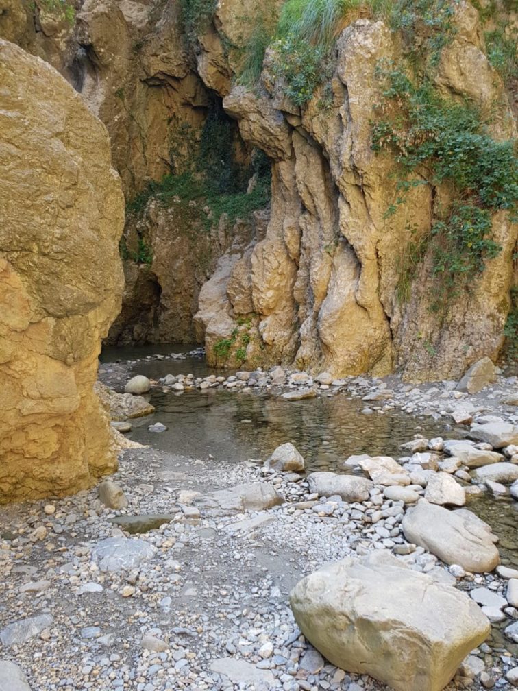 esescursioni in fuoristrada-trekking fotografici, nebrodi cascata del catafurco