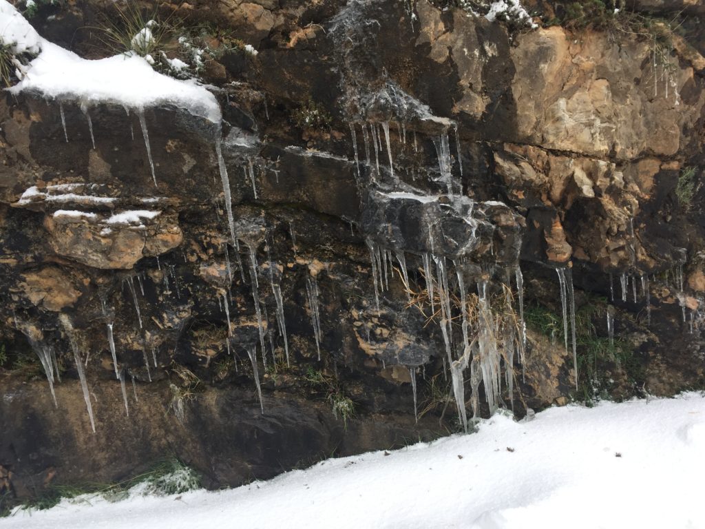 esescursioni in fuoristrada-trekking fotografici, nebrodi con la neve ghiaccio