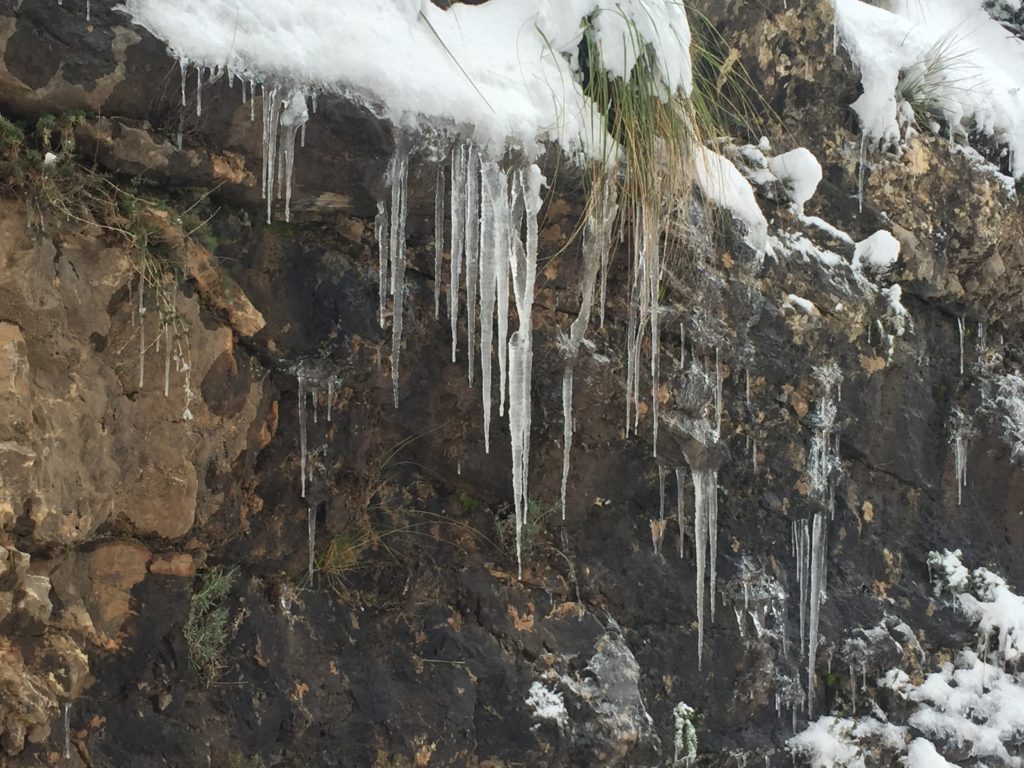 esescursioni in fuoristrada-trekking fotografici, nebrodi con la neve ghiaccio