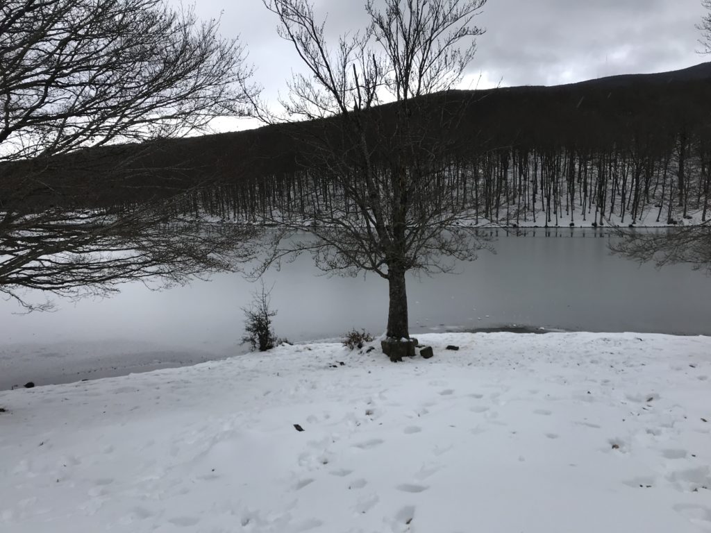 esescursioni in fuoristrada-trekking fotografici, nebrodi con la neve lago maulazzo parzialmente ghiacciato