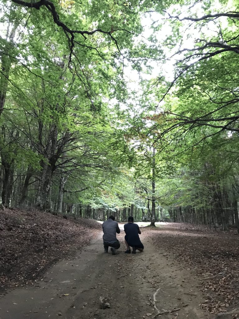 due fotografi scattano foto nella faggeta di Mangalavite