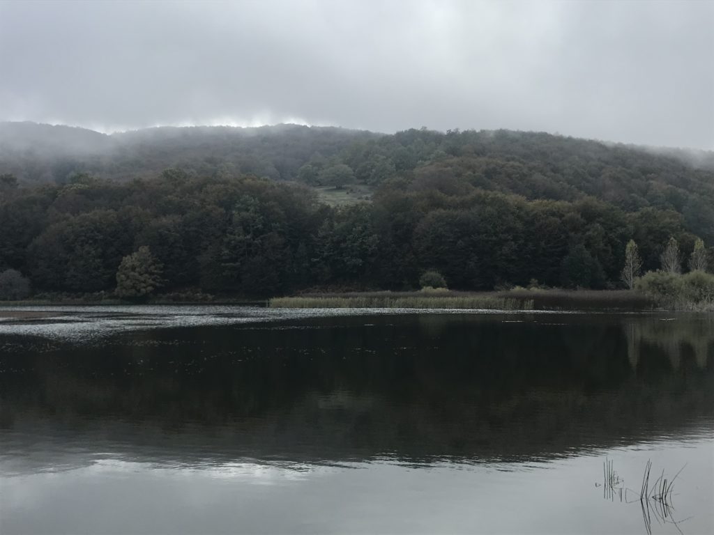 paesaggio suggestivo, comincia a calare la nebbia al lago Biviere