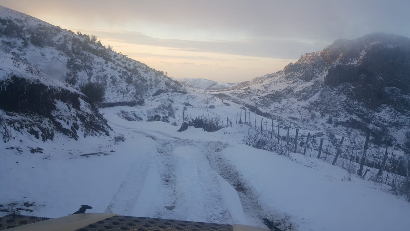 paesaggio innevato